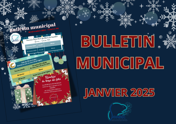 Bulletin municipal du 20 décembre 2024