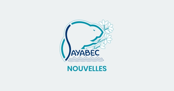 Bulletin municipal de Juillet 2024