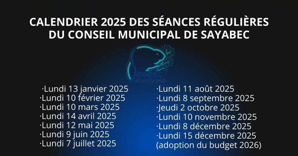 Réunions du conseil municipal - Année 2025