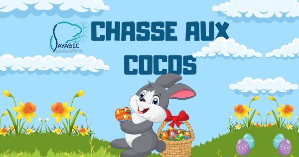 Chasse aux cocos